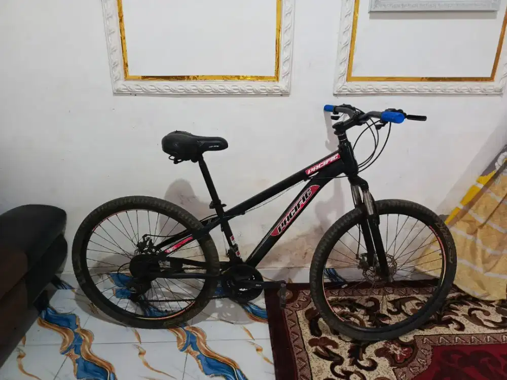SEPEDA GUNUNG MTB PASIFIC 26 INCH