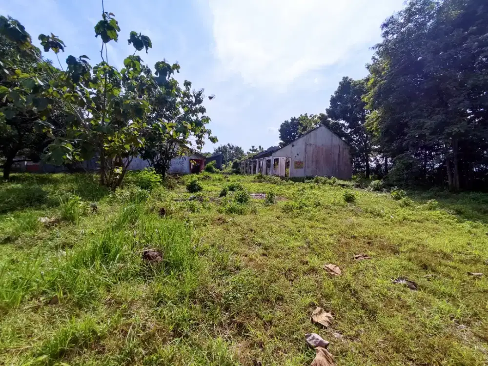 Tanah dan bangunan kosong.
