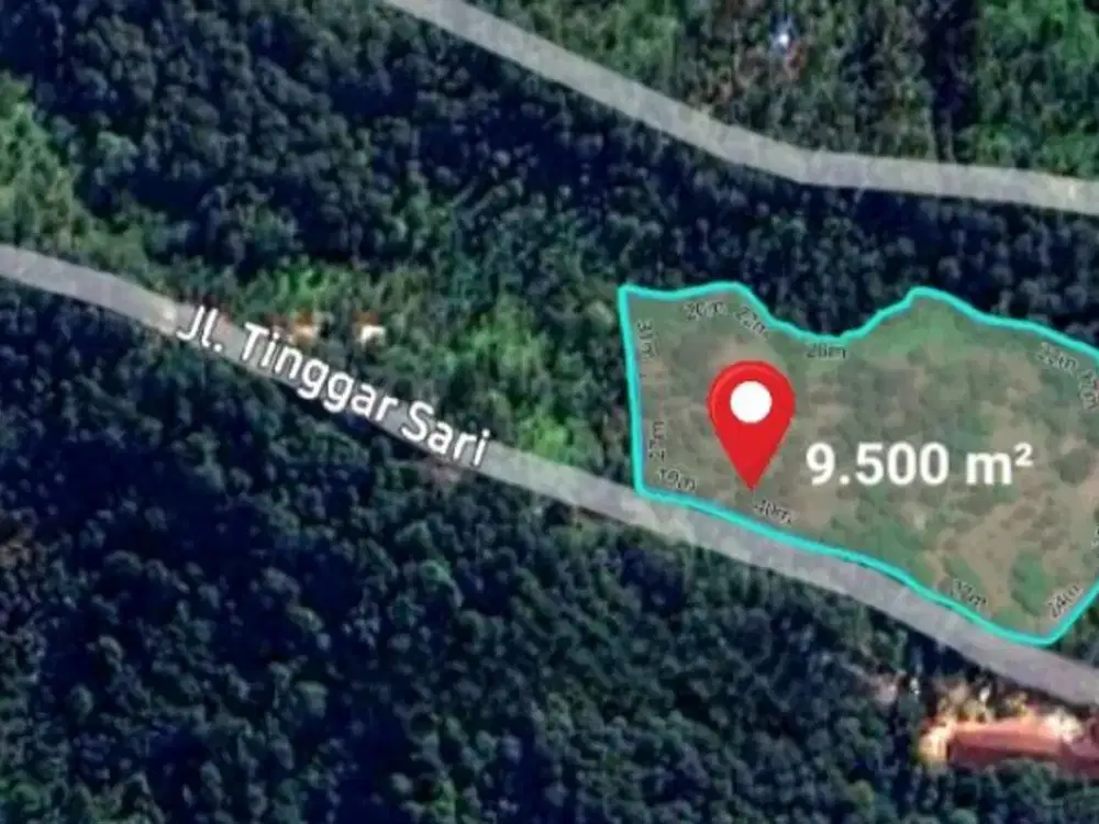 TANAH KEBUN DURAN DI TINGGARSARI BUSUNG BIU BULELENG, BALI