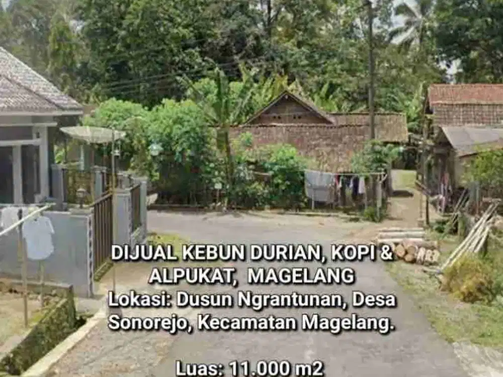 DIJUAL TANAH 1,1HA, KEBUN DURIAN, KOPI DAN ALPUKAT, CANDIREJO MAGELANG. DEKAT SENTRA DURIAN CANDIREJO