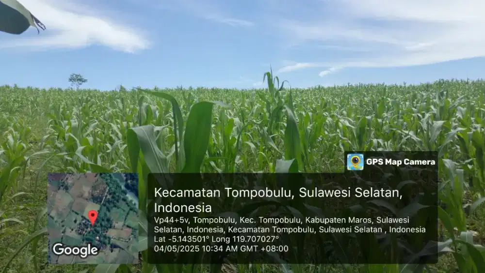 Dijual Tanah Perkebunan