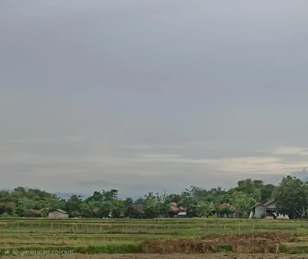 Dijual Tanah Sawah 1000 m² Cariu Bogor – Air Bagus & Akses Mobil