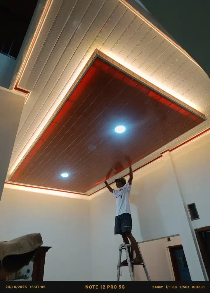 Kanopi dan plafon pvc