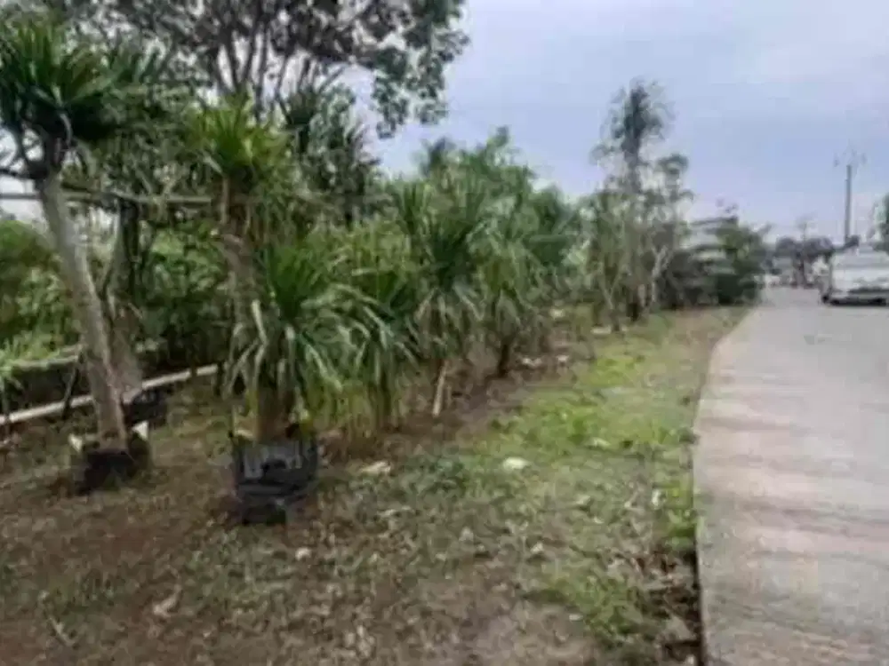 Tanah Dijual Cepat Murah Depan Perum Depok Sawangan - Lokasi Strategis