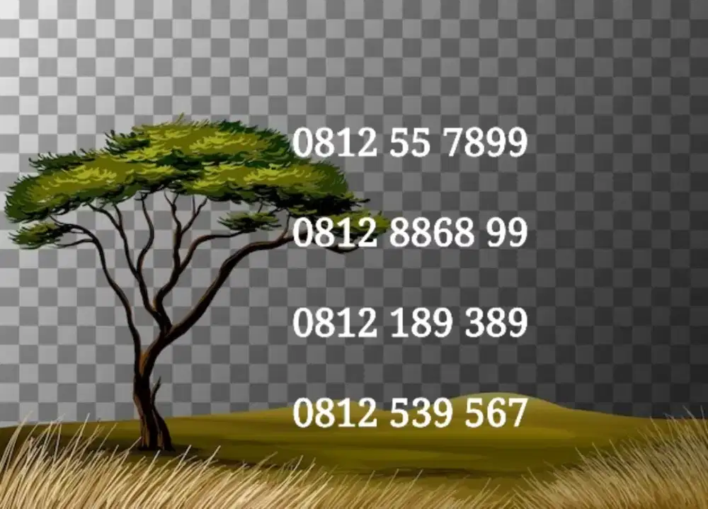 Simpati 10 angka nomor cantik