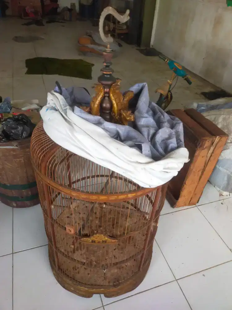 Kandang burung murai