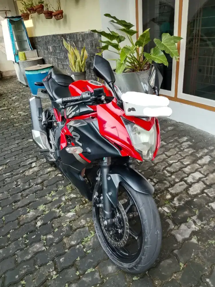 Kawasaki Ninja Mono 250 SL 2019