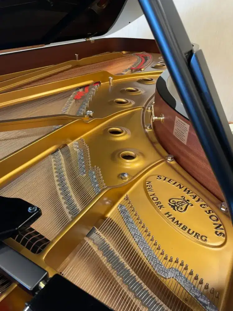 grand piano steinway & sons model D kelas dunia