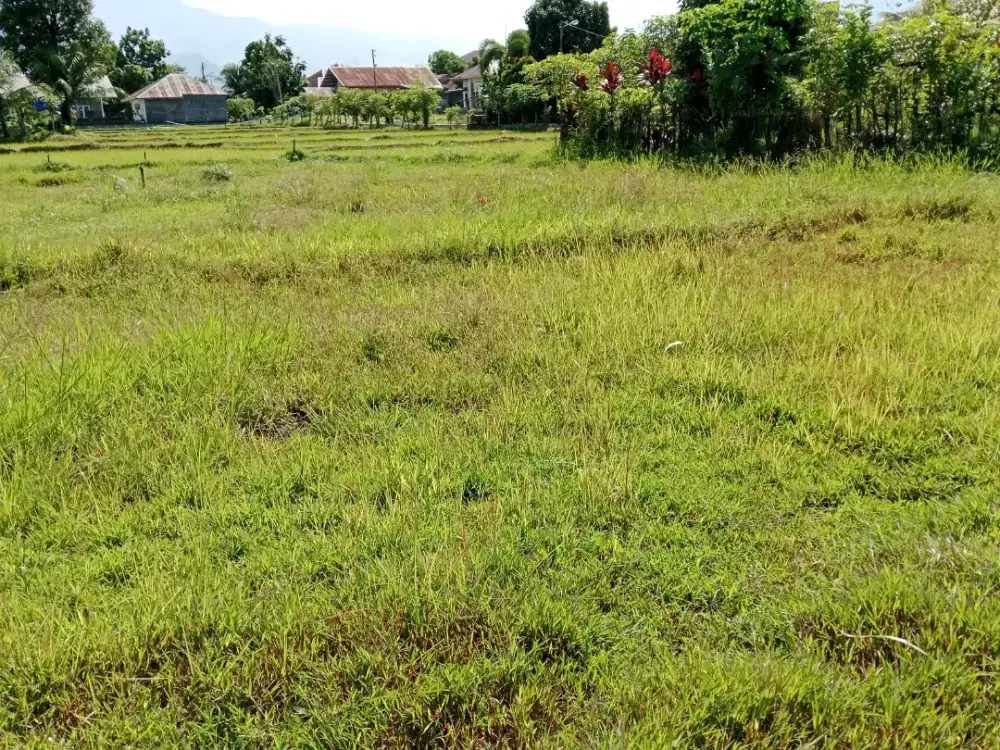 Dijual Tanah Kosong Lokasi Strategis