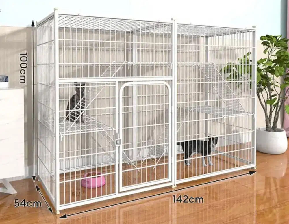 Kandang kucing plus asesoris