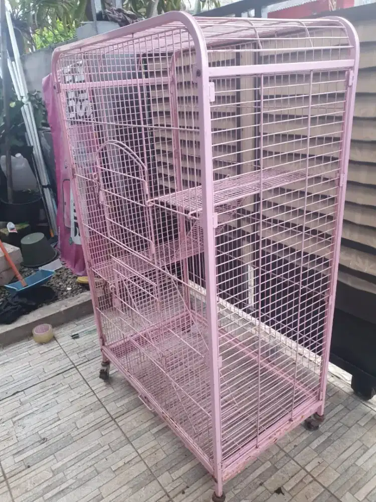 Kandang kucing anggora