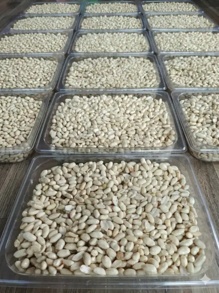 dicari koki catering PT