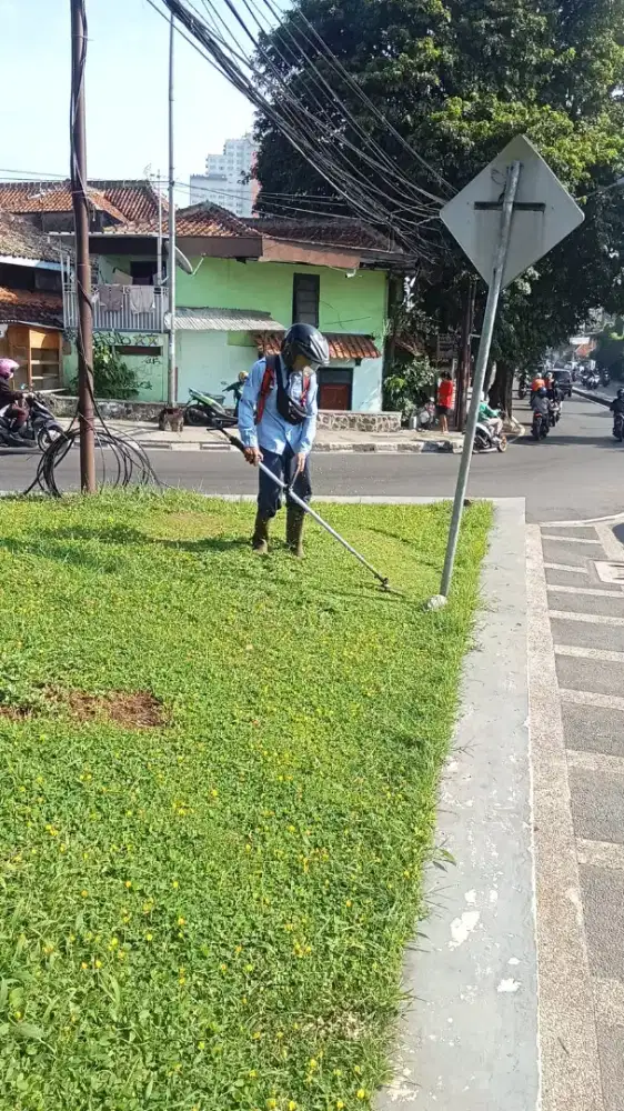 Jasa potong rumput