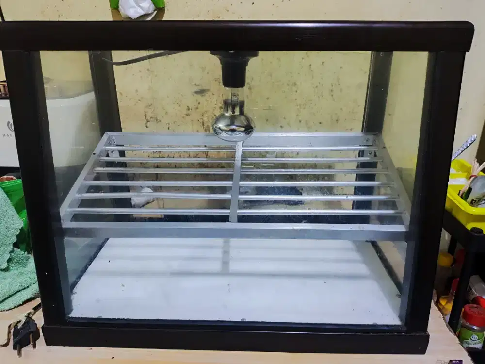 Etalase penghangat fried chicken kecil