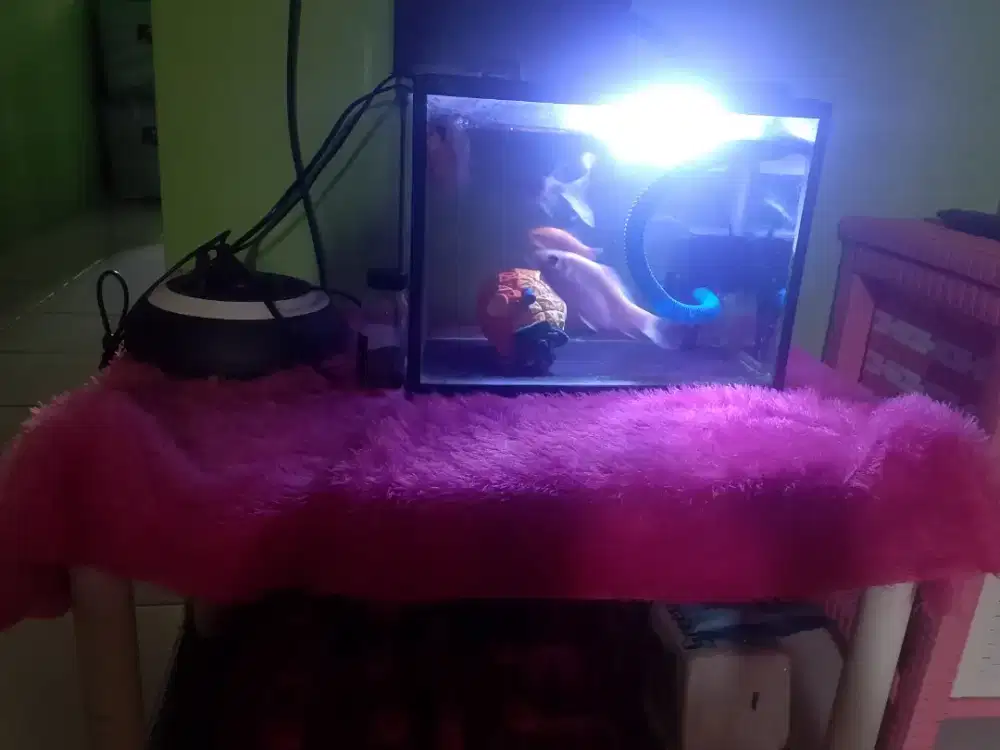 Jual akuarium fullset+ikan+meja