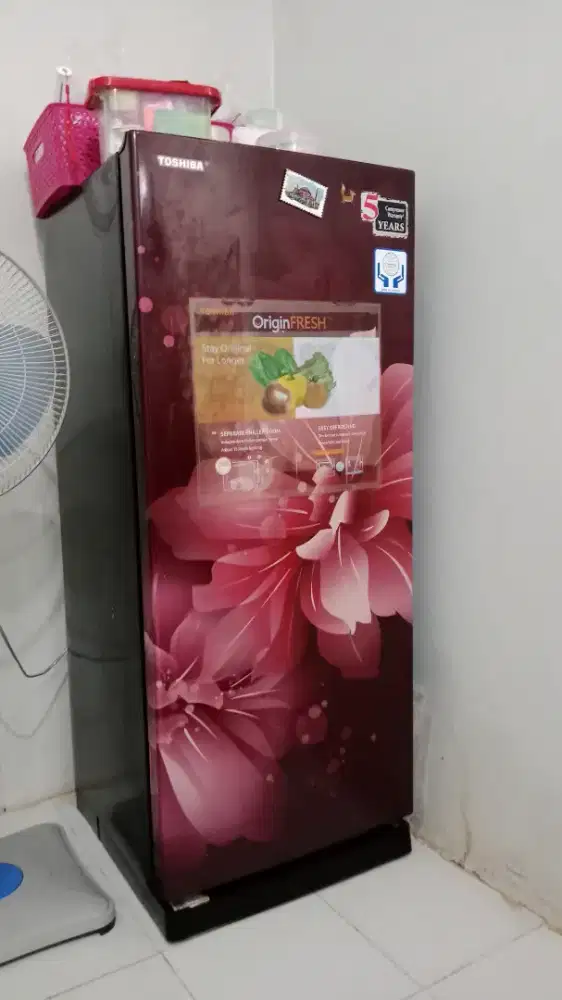 Kulkas Toshiba 1 Pintu