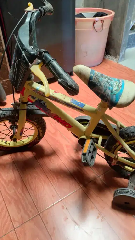 Jual sepeda anak