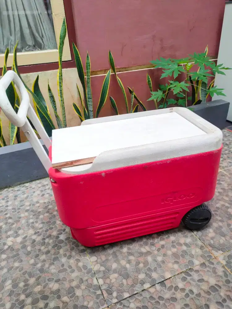 Box es 50liter bisa di dorong praktis