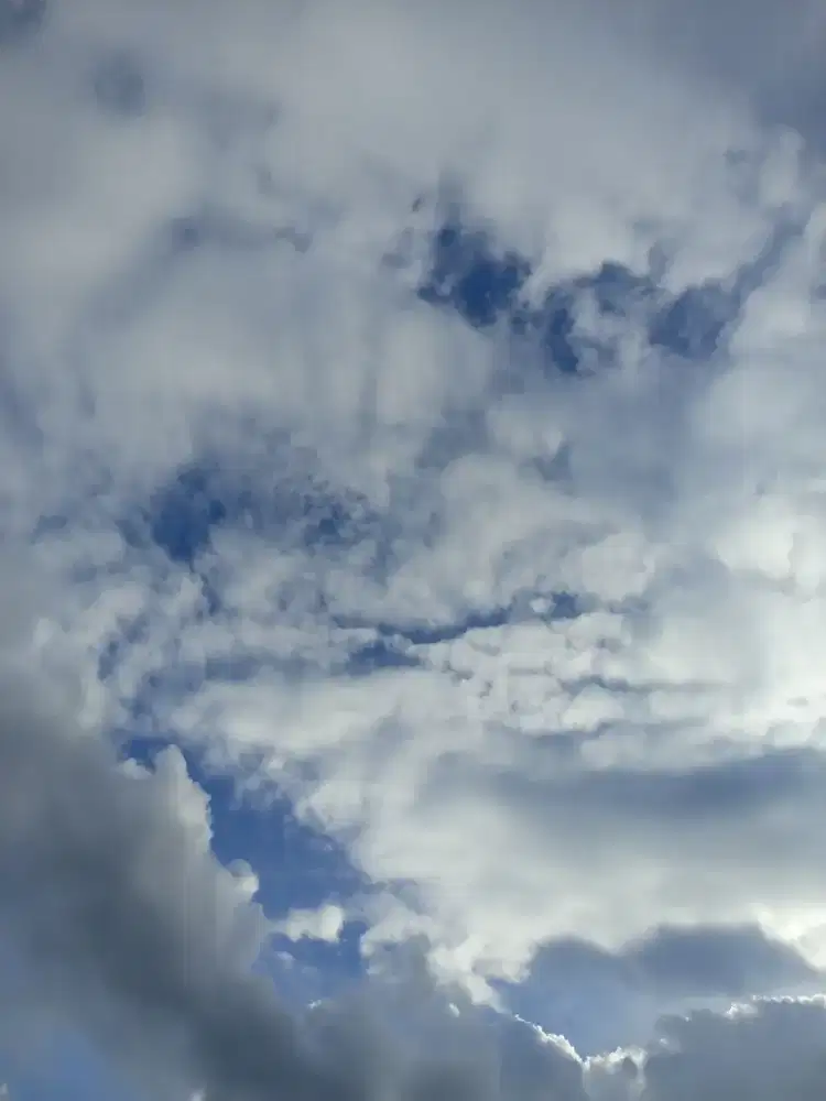 Dibutuhkan juru masak