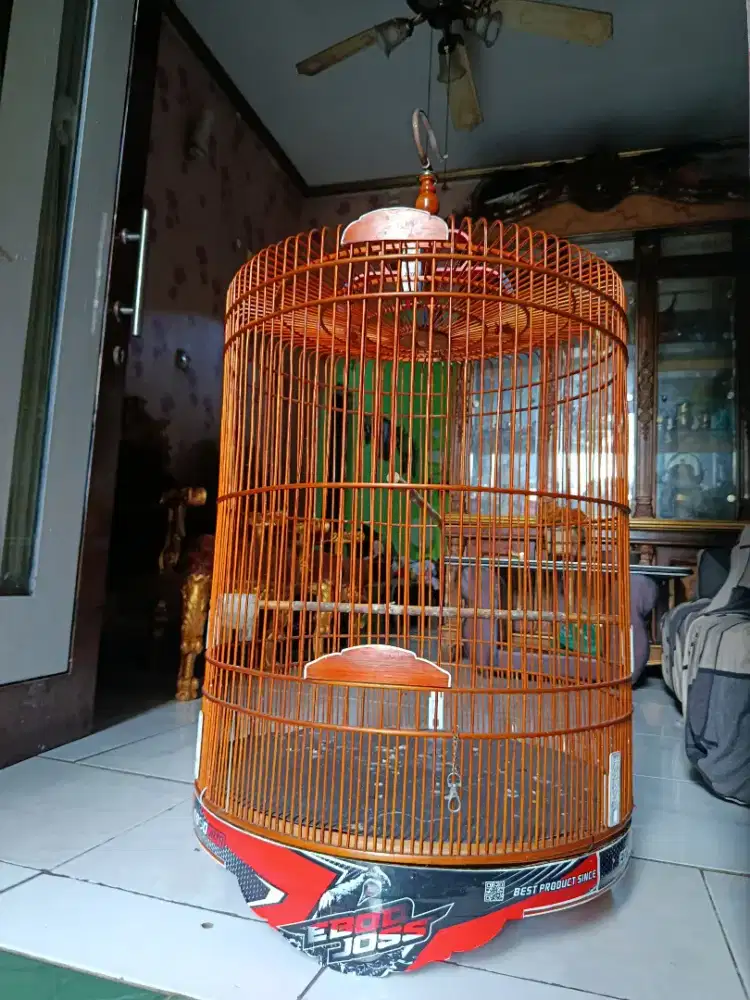 Kandang Murai No. 2 Fullset Kerodong