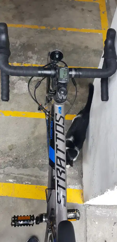 Road bike bekas Polygon Stratos S2