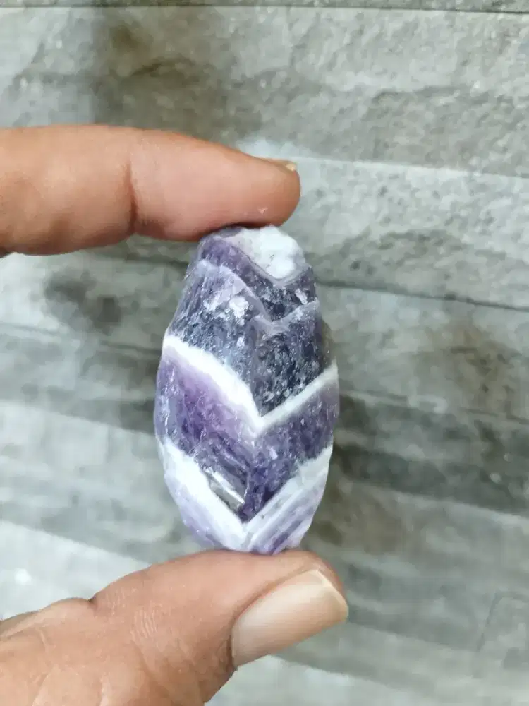 Kecubung junjung derajat