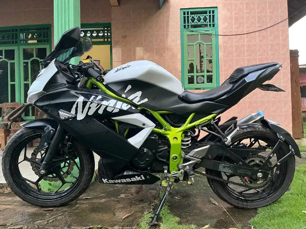 KAWASAKI NINJA 250 RR MONO