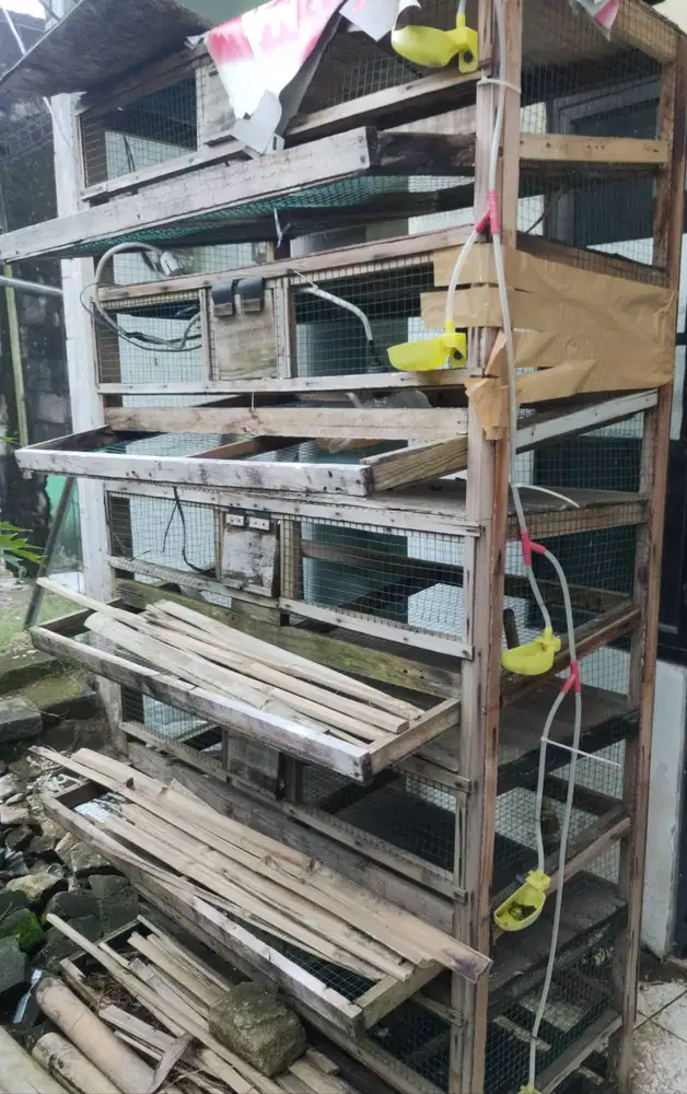 Jual kandang puyung siap pakai