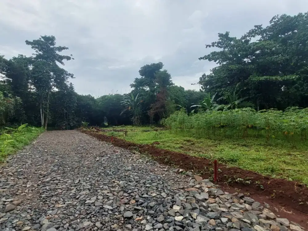 1 Jt-an Kavling Hunian & Invest Dekat Tol Japek 2 Selatan. Terima SHM