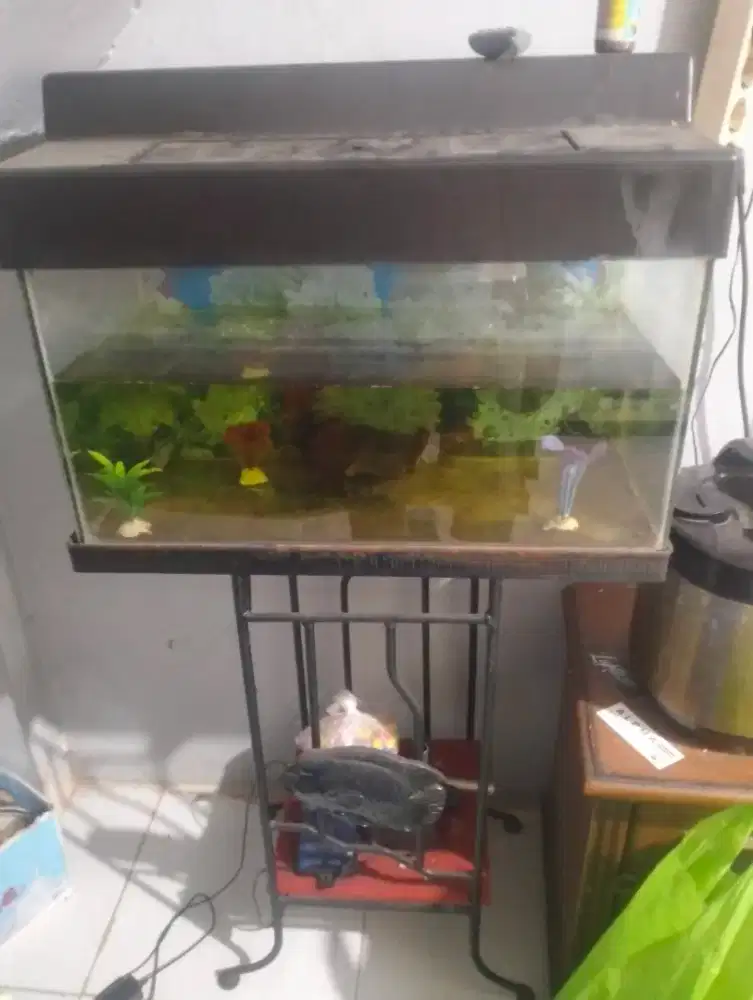 Jual Aquarium mewah dengan rangka besi padat