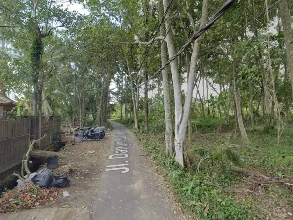 Jual Tanah Di Kawasan Wisata,Lokasi Di Jl. Dangin Labak Singakerta Ubud Bali.Dekat Ke Mongkey Forest Dll.