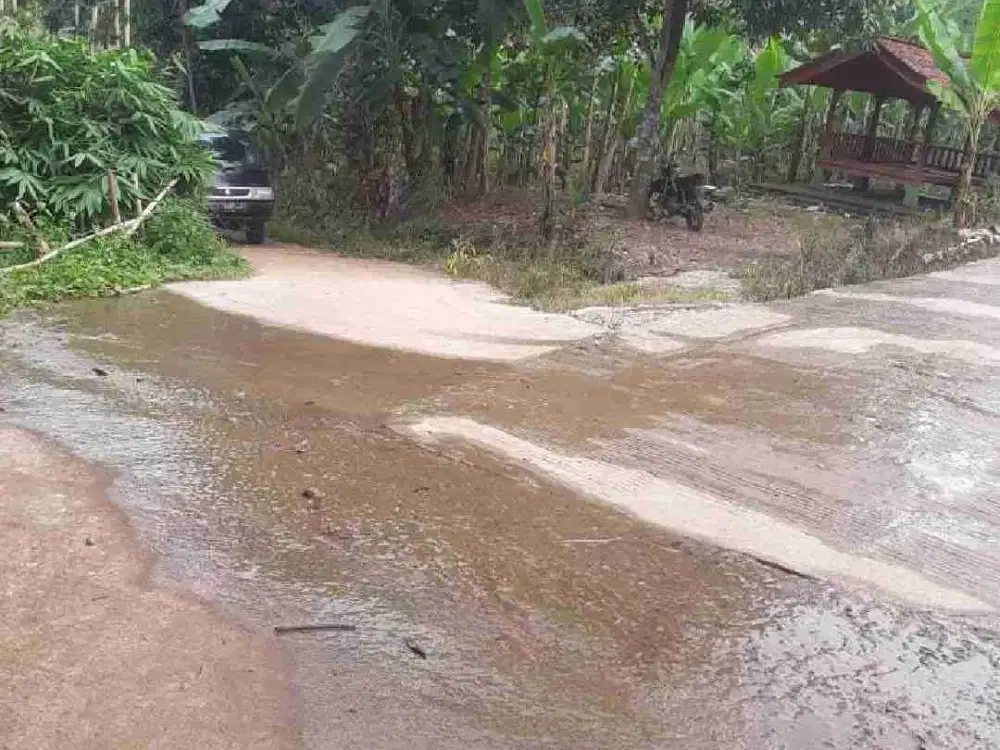 Tanah Tanjungsari 1 Hektar Strategis Langsung Pemilik