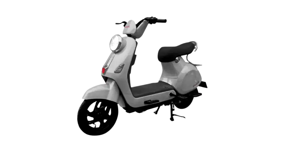 SEPEDA LISTRIK UWINFLY TYPE T60