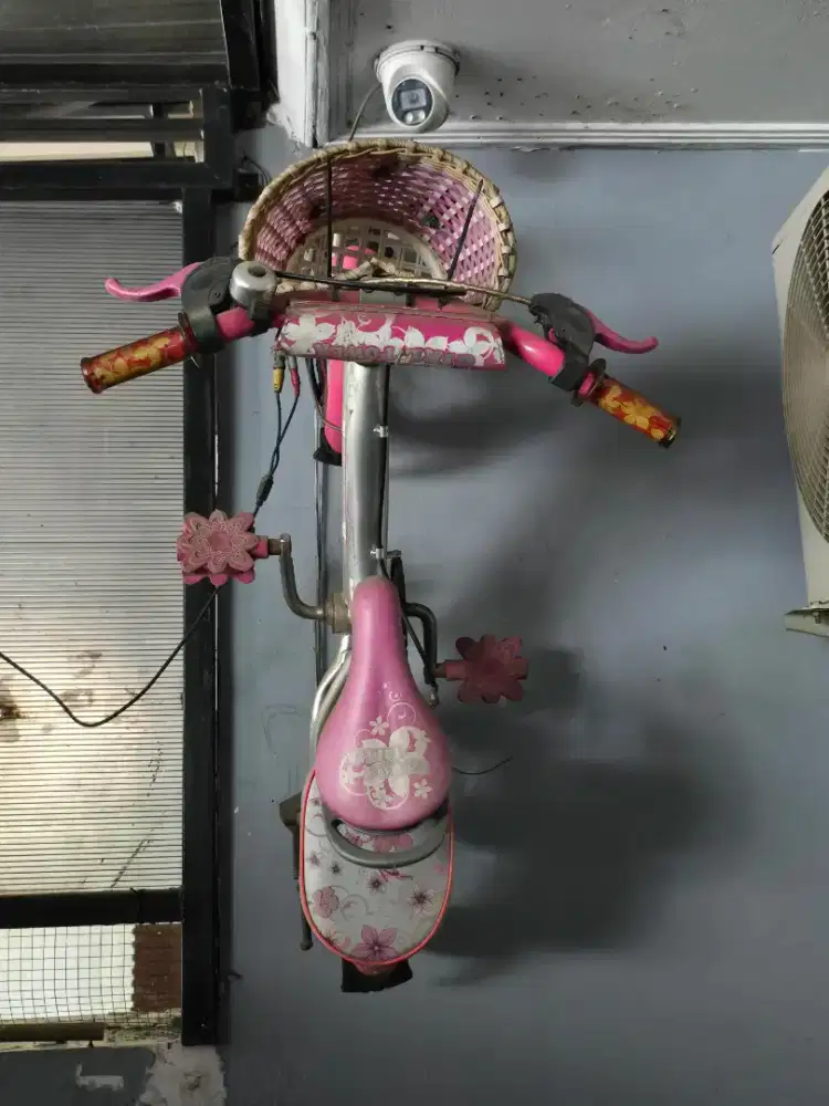 2 pcs Sepeda Anak2 Perempuan - Nego