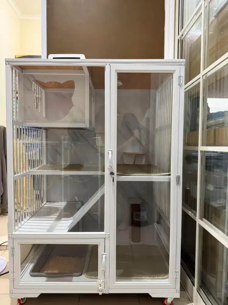 kandang kucing terawat