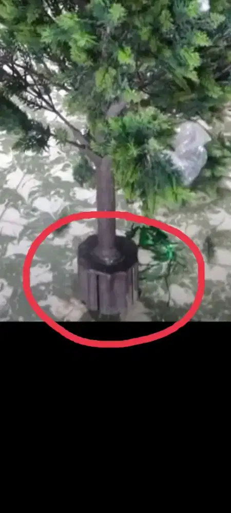 Pohon natal masih bagus