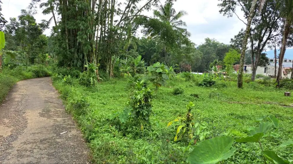 Dijual Tanah Residensial Strategis untuk Usaha 2km dari Exit Tol Cimal