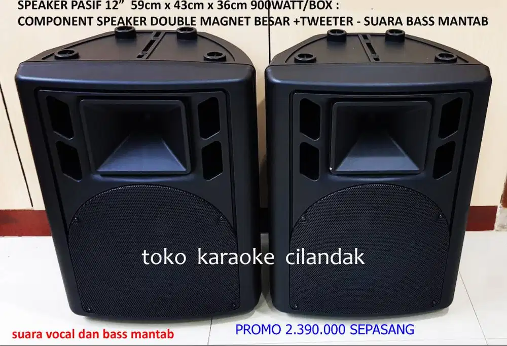 speaker pasif 12in sepasang
