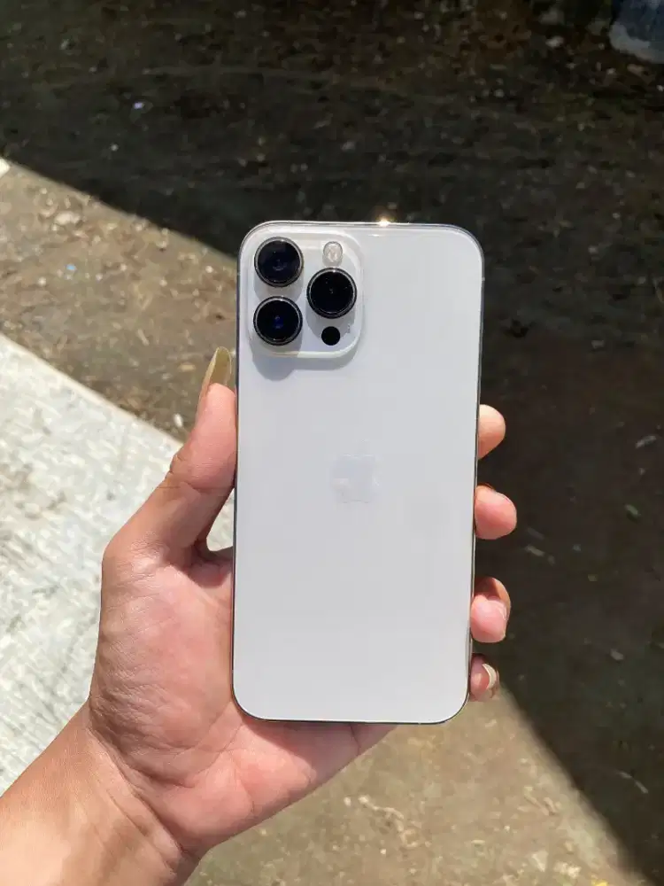 iPhone 13 promax 256