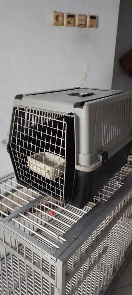 Kandang Anjing Import