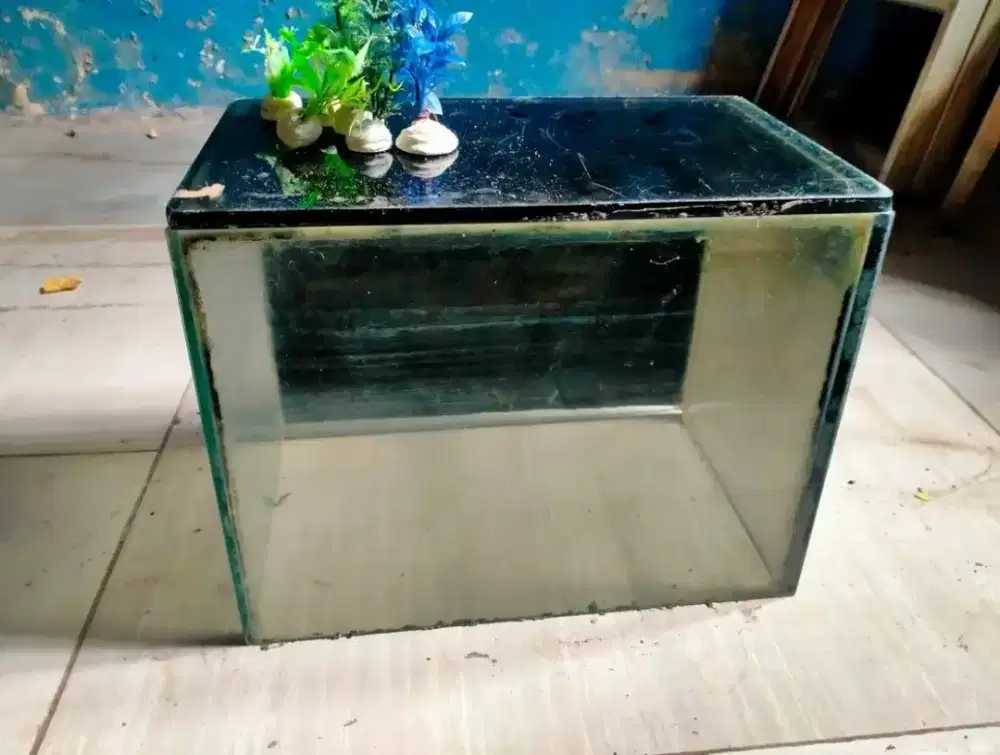 aquarium 40x30x25