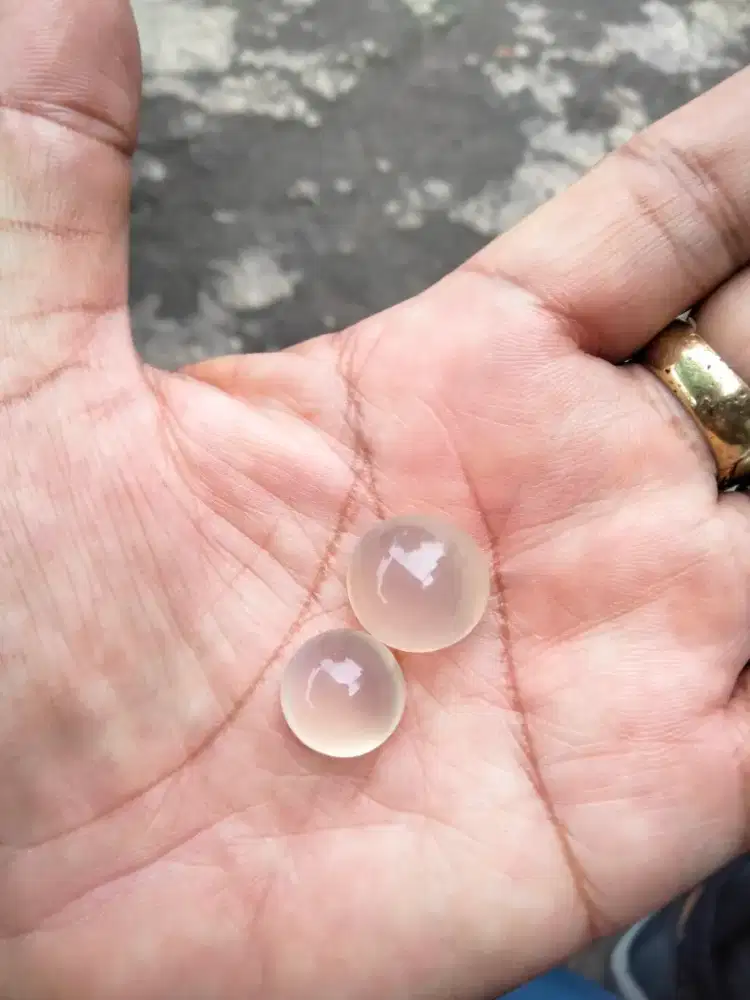 Batu anggur satu jodo