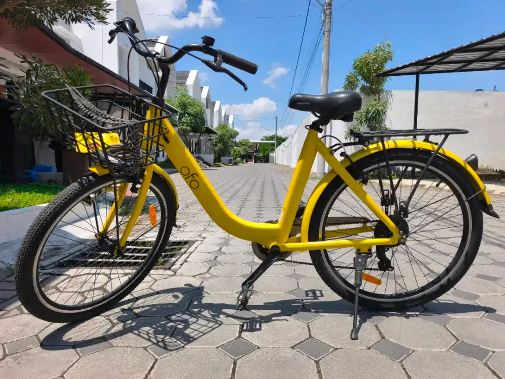 Sepeda Keranjang CTB Pacific Ofo