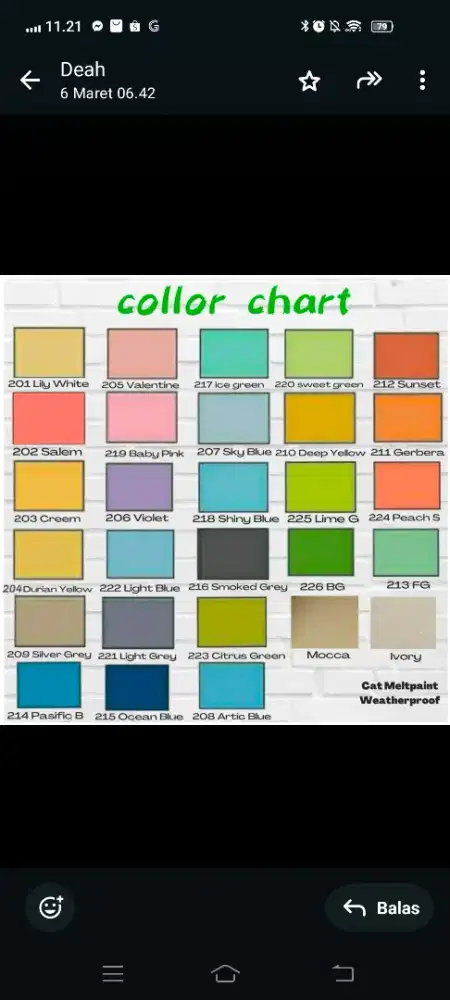 CAT TEMBOK MELTPAINT