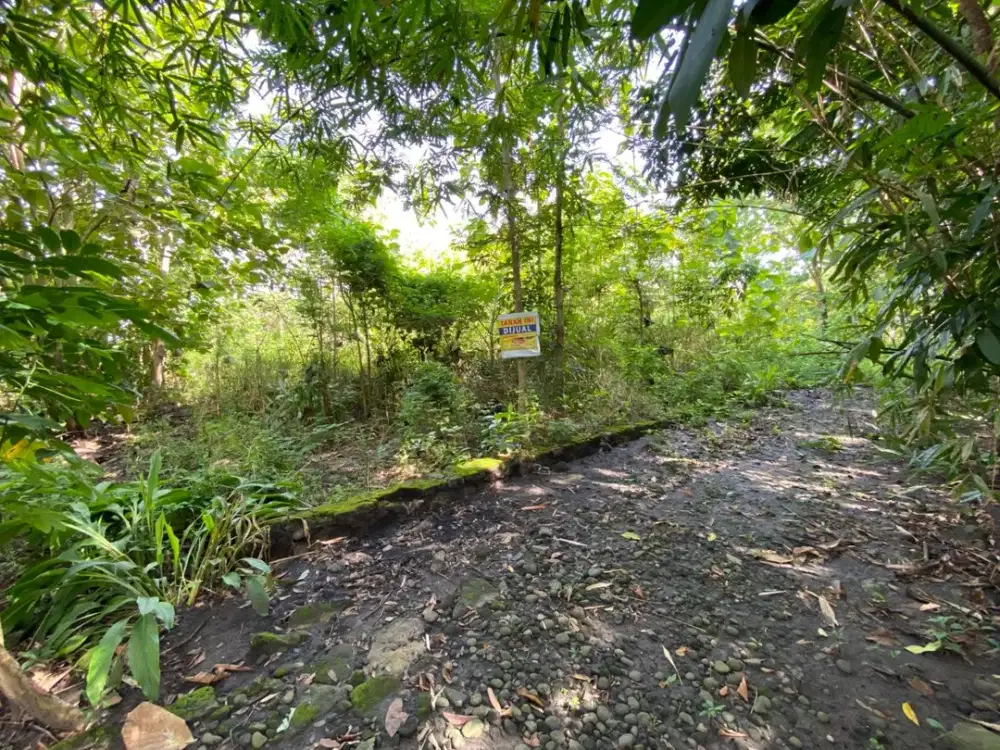 Jarang Ada! Kavling Strategis di Sedayu Bantul Harga 1,9 Jt/m2 Dekat Kampus Mercubuana Jl Wates