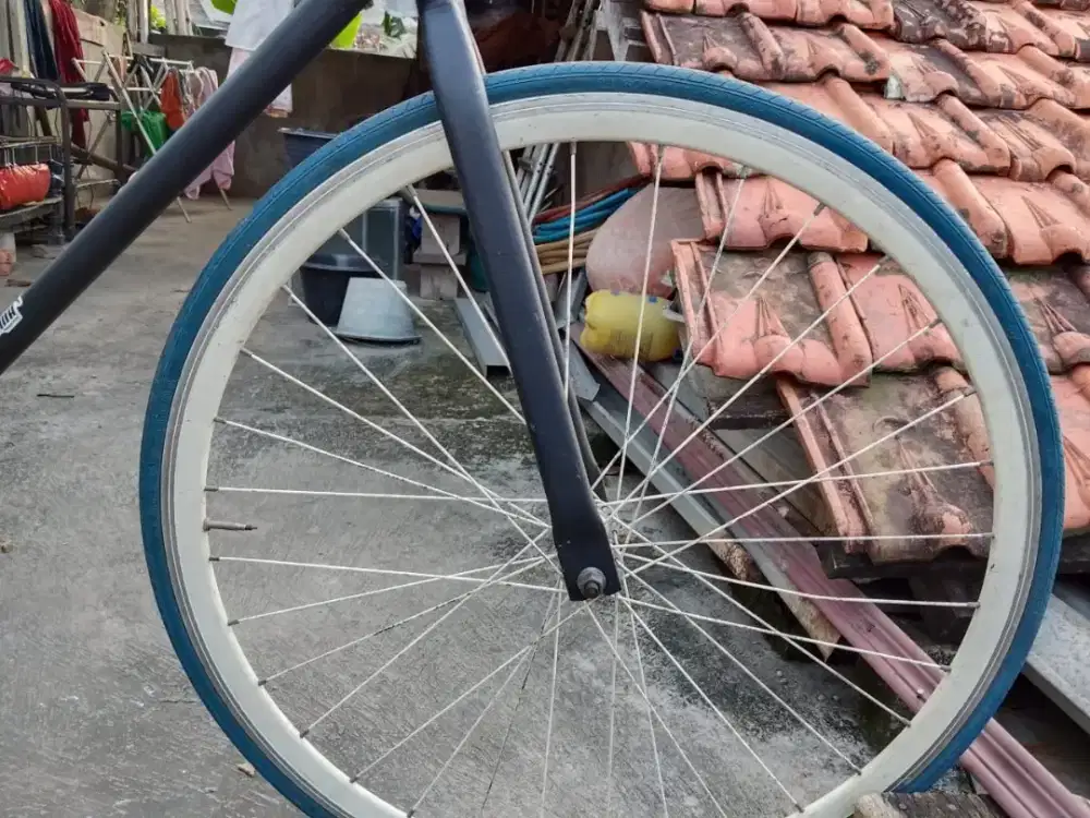 sepeda fixie doltrap