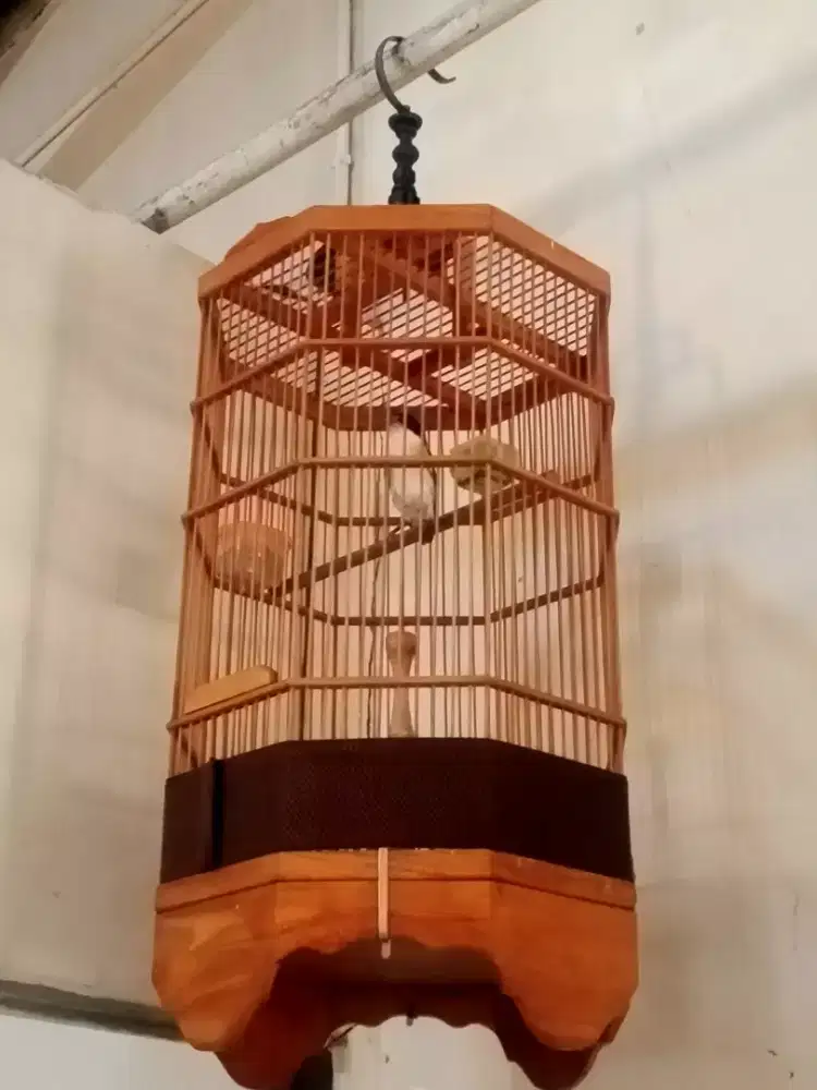 Cendet pastol dada putih postur slim