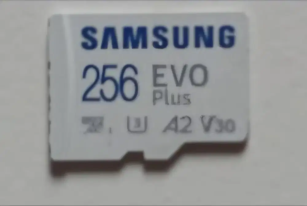 Memory Card SAMSUNG Evo Plus 256 GB 130 MB/s