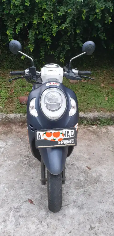 Scoopy Fashion Mulus