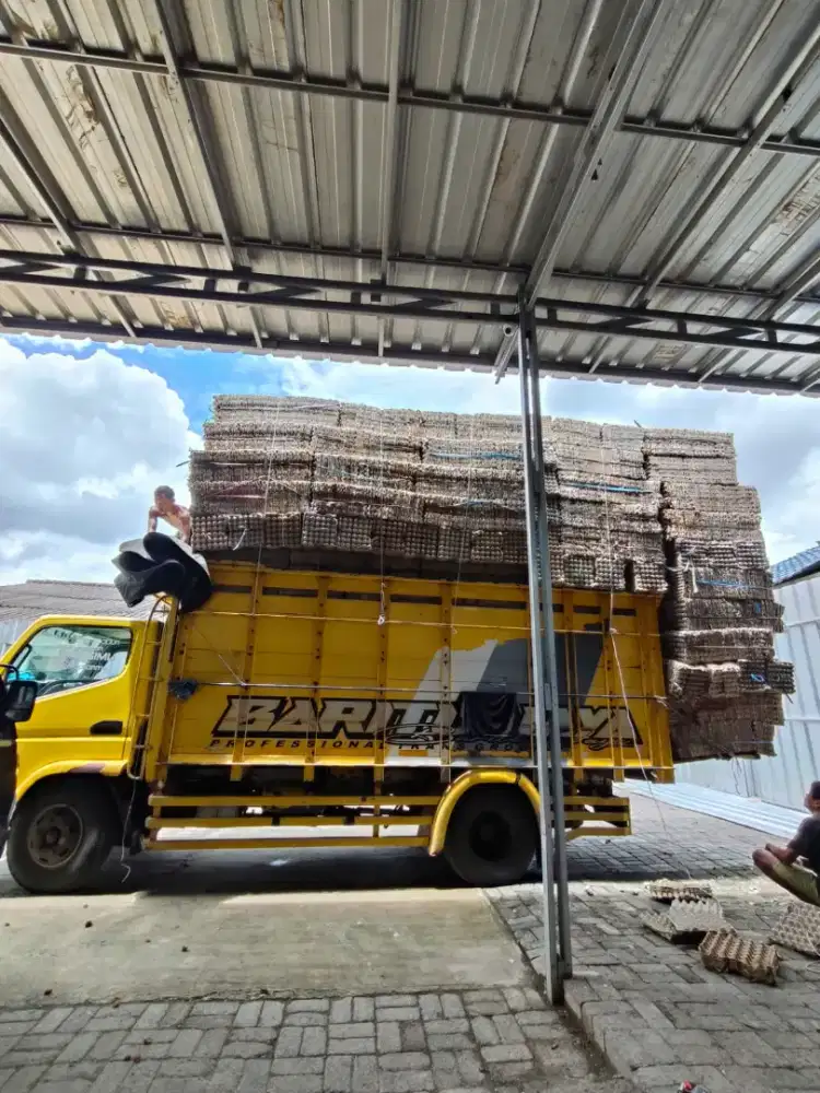 Lowongan kerja sortir trey